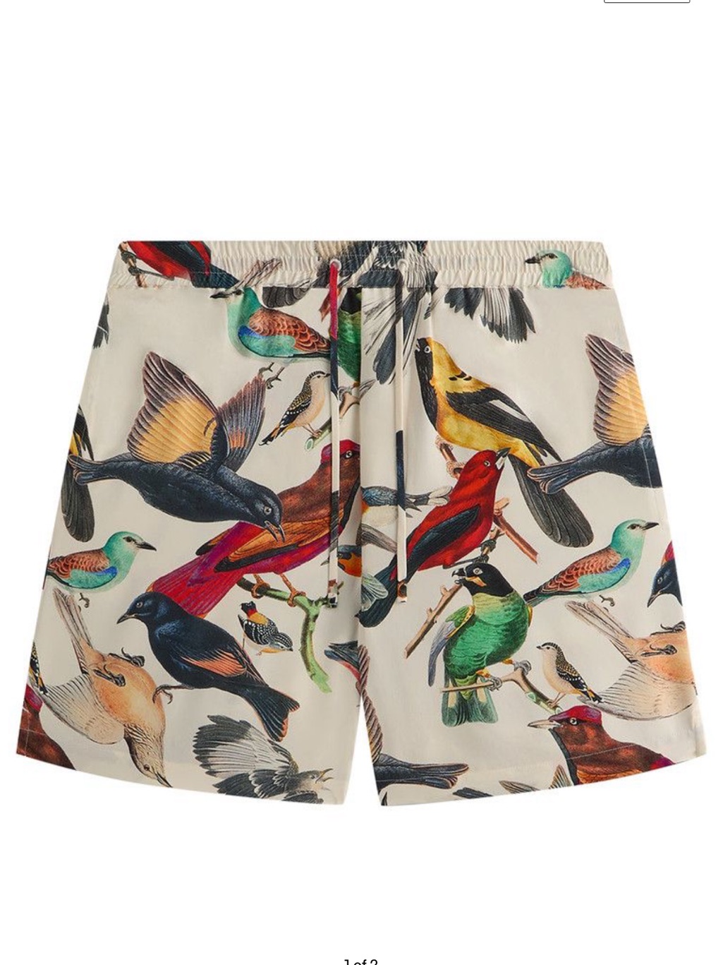 Kith & Kin Tropical Bird Camp Shorts Color Sandrift Size Large